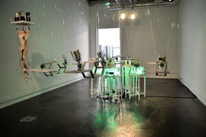 Grow Kitchen