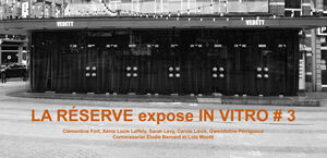 IN VITRO #3