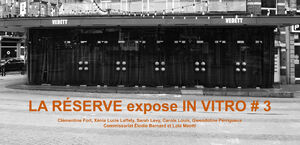IN VITRO #3