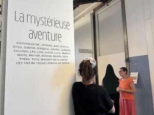 La mystérieuse aventure
