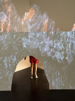 La mystérieuse aventure