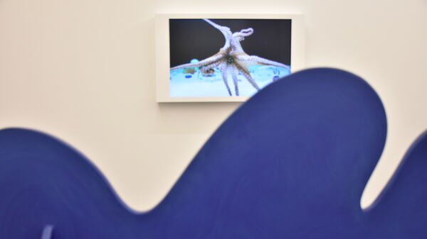 Au premier plan, l'assise *Les pieds dans l'eau* de Raphaël Larre réalisée en bois peint en bleu en forme de vague. Elle fait face à un écran donnant à voir un poulpe en gros-plan. C'est une des séquences de la vidéo *Sculptures for Octopuses : Exploring for their Favorite Colors* de Shimabuku