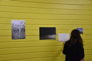 Aurore Clavier