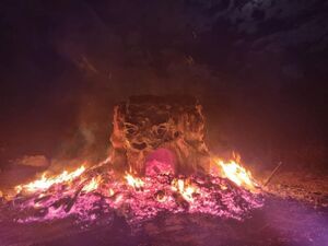 Béatrice & Arnaud Darmagnac studio_df_artdesign