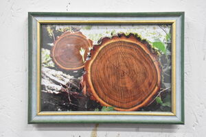 Béatrice & Arnaud Darmagnac studio_df_artdesign