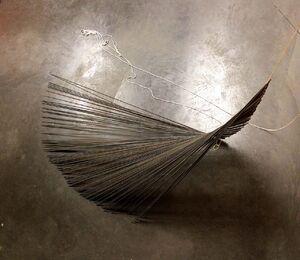 Charlotte Agricole