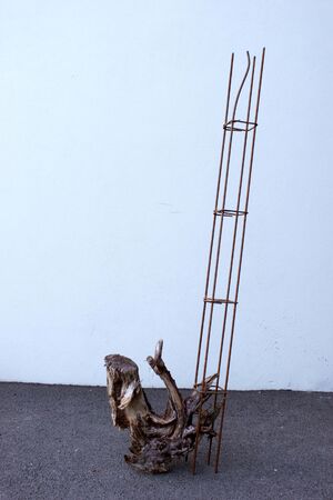 Charlotte Agricole