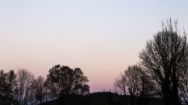 Claire Dantzer – Repérage Nuits blanches et jours laiteux, 2020 © Claire Dantzer © Claire Dantzer