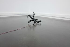 Fabien Zocco