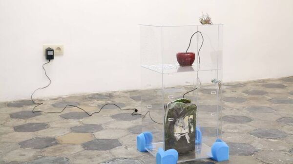 Guilhem Roubichou – biotp ex view