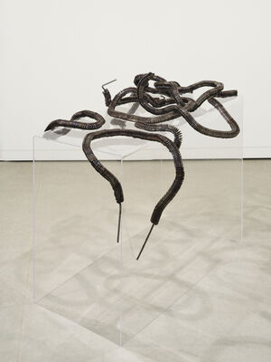 Julie Maquet