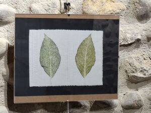 Marie Baudoin