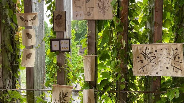 Marie Baudoin – Exposition Cabaret textile (Oloron Sainte Marie) 2023, plantes et tissus, tataki zomé © Marie Baudoin