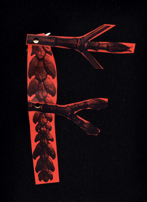 Studio Kiösk