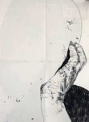 Thomas Ferrando